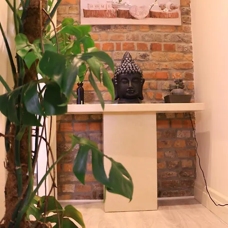 Spire Entire No Kitchen *