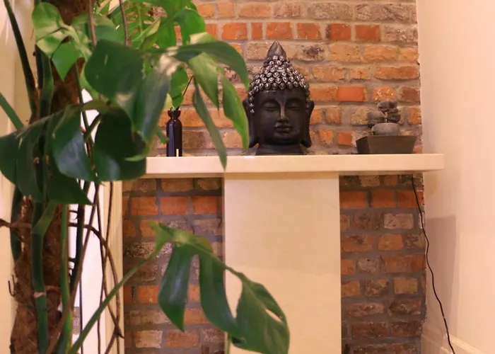 Spire Entire No Kitchen *